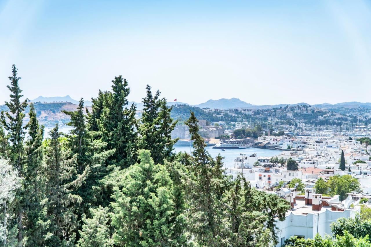 Manzara Boutique Hotel - Adults Only Bodrum Bagian luar foto